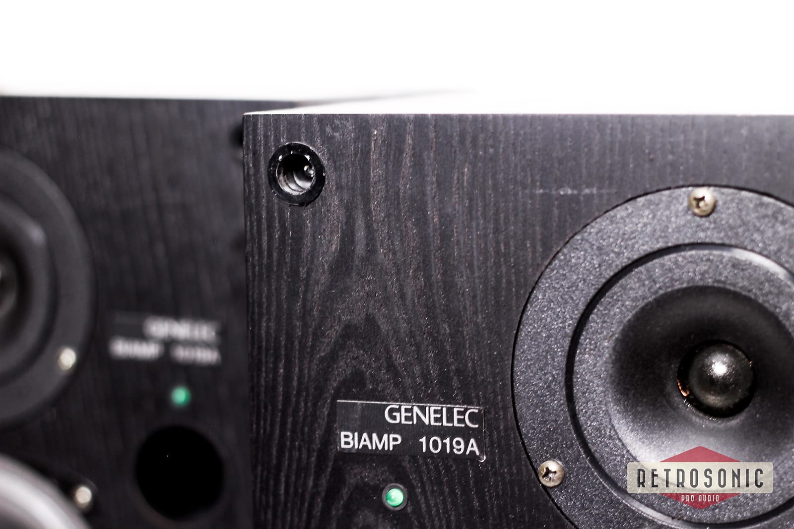 Genelec 1019A Bi-Amp Pair (Factory refurbished)