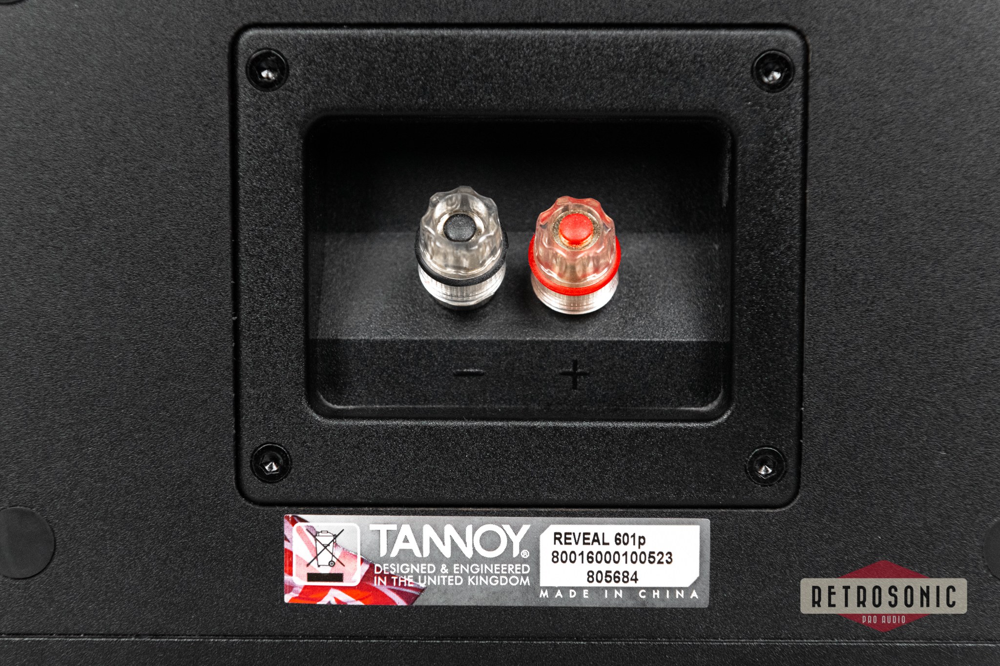 Tannoy Reveal 601p Passive 2-way monitor pair